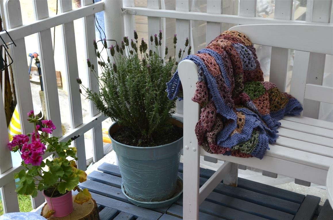 Édes(öko)OtthonésNemiskacat